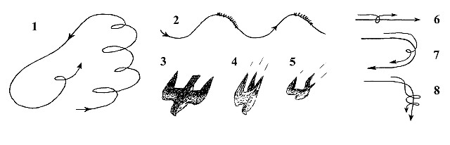 Short-toed Eagle. V.P.Belik. 2010. Figure 1
