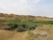 Breeding habitats of Short-toed Eagles in Georgia