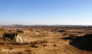 Breeding habitats of Short-toed Eagles in Georgia