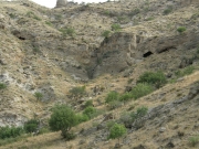 Breeding habitats of Short-toed Eagles in Georgia
