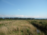 Habitats of Short-toed Eagles during seasonal migrations