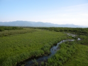 Habitats of Short-toed Eagles during seasonal migrations