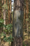 26.07 : camouflaged metal protection against martens, which was set yet in winter, has white marks of Short-toed Eagles’ dung now