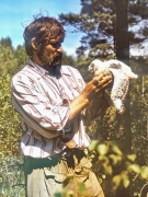 Vladimir Ivanovski with Short-toed Eagle chick
