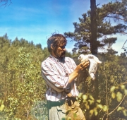 Vladimir Ivanovski with Short-toed Eagle chick