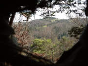 The nest was built six metres high on top of a pine tree. The steep hillside, quietness of the distant valley (Langeac town, Haute-Loire County), crystal clear air and the close distance of the camouflage hide created perfect conditions