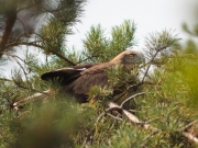 09.08 : ''do you still see me ?''
