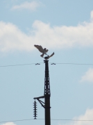 16.08 : boohm !!! …but just a minute before that she has banished him from this power line pylon