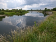 River floodplains are traditional foraging grounds and often migration paths of Short-toed Eagles in Northern Ukraine