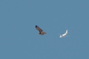 27.03 (6) A: silhouettes in the sky