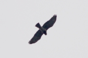 02.04 (1) A: the same female (A); her silhouette is easily recognizable
