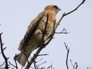 12.09 C15 : the sky is not left without the attention as well