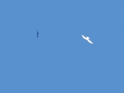 10.09 E16 : the very well flying juvenile Short-toed Eagle manoeuvres in the air avoiding attacks of the Raven; this is a part of juveniles’ continuous training to survive independently; it looks like the young eagle deliberately provokes Ravens and Common Buzzards to chase