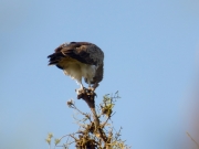 07.05 A16 : his inverted look