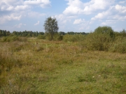 09.09 : wet meadows are typical hunting territories of Short-toed Eagles in the region / by K. Pismennyi
