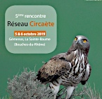 5th French national Short-toed Eagle meeting in Gémenos